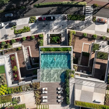 Savoy Monumentalis Ix By An Island Funchal