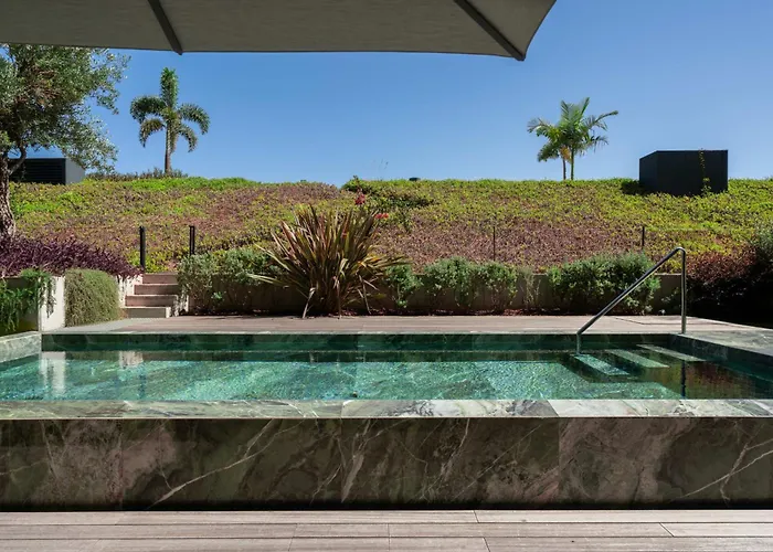 Savoy Monumentalis Ix By An Island *