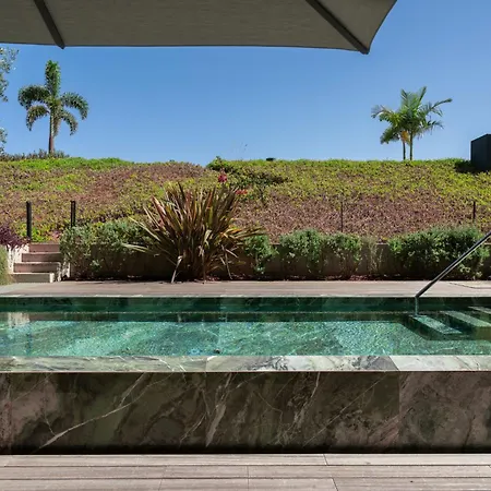 Savoy Monumentalis Ix By An Island *